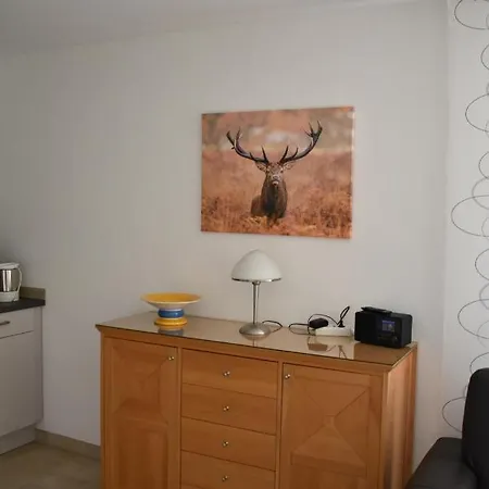 Hanke Apartment *