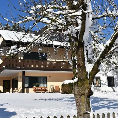 Hanke Apartment *