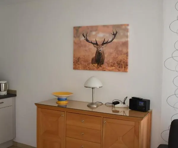 Hanke Apartment *